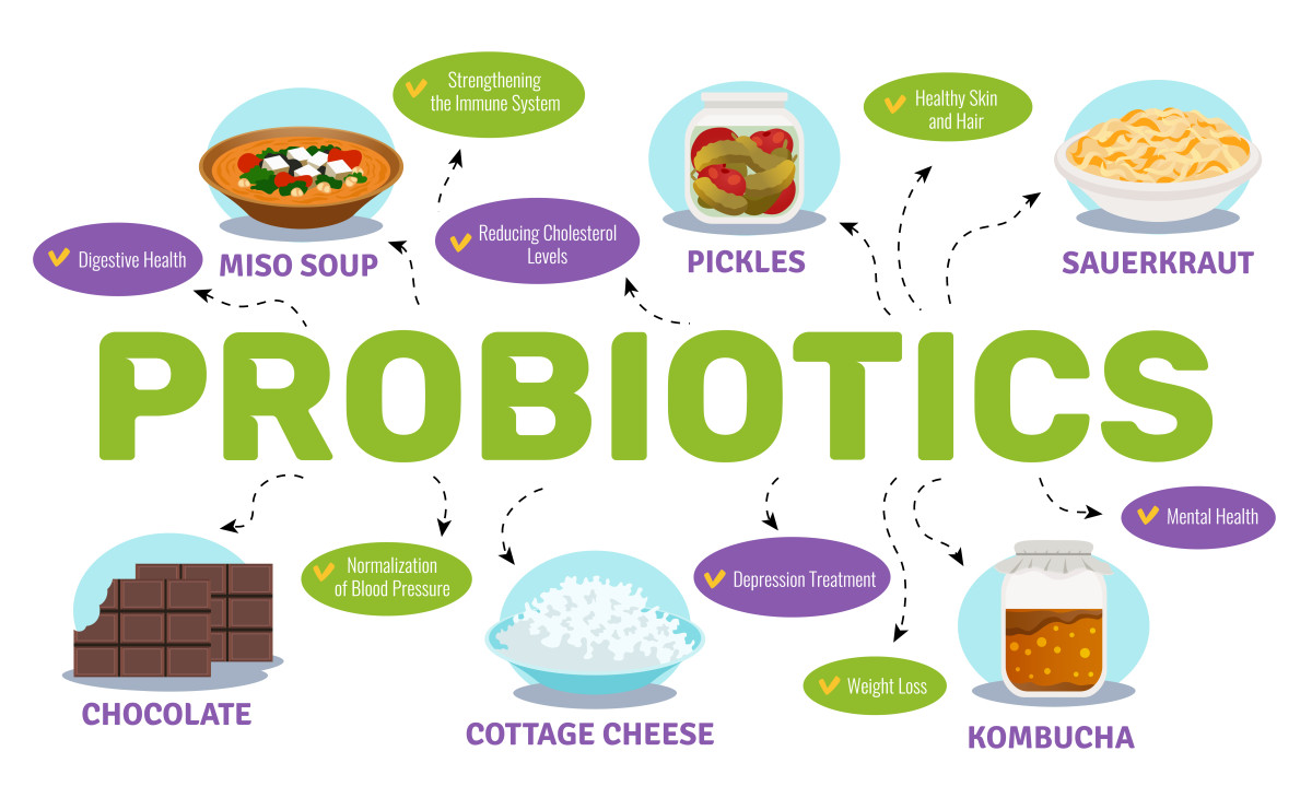 The Benefits Of Using Probiotics For Gut Health - HealthWealthWorld